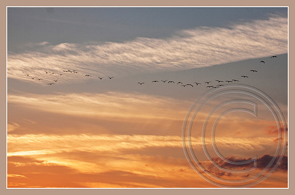 Evening sky