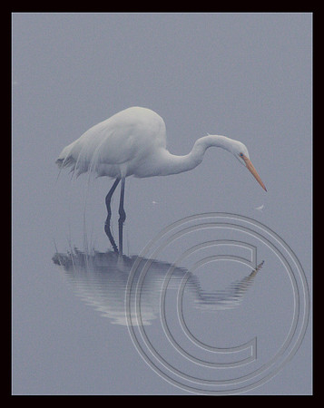 Still waters