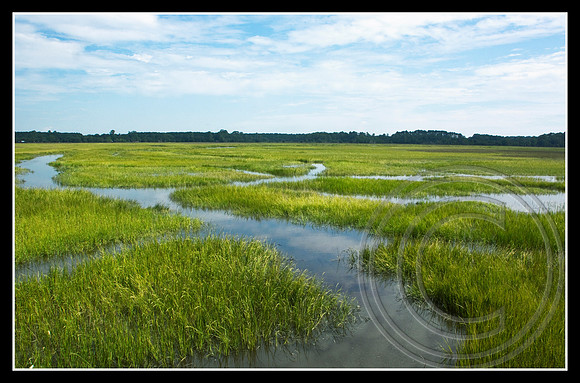 Marsh Creeks