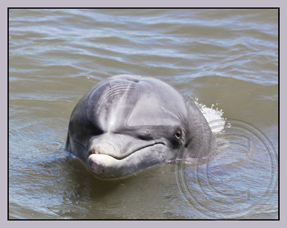 Smiling?