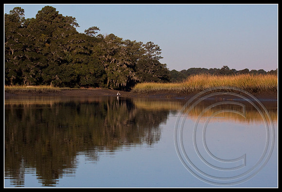 Morning on a creek