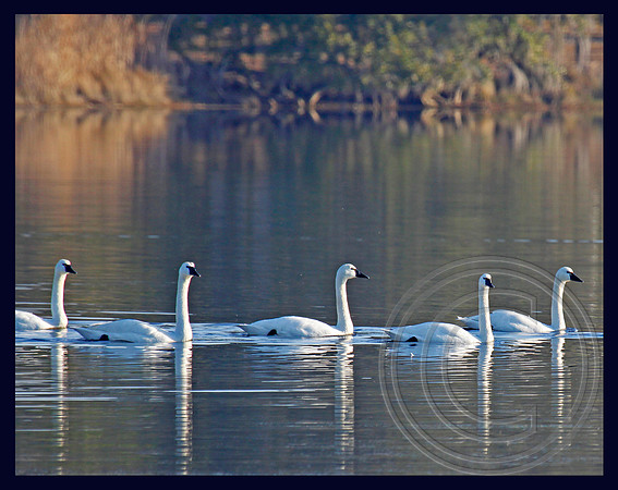 Single file