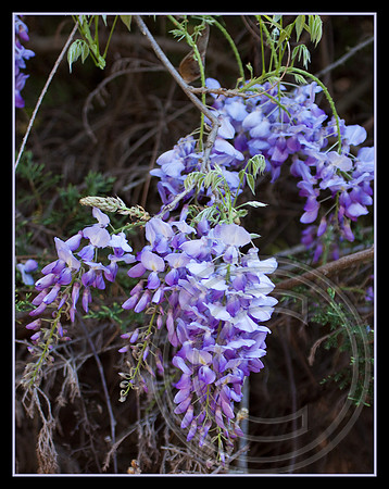 A sign of spring