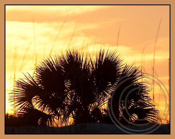 Sunset silhoutte