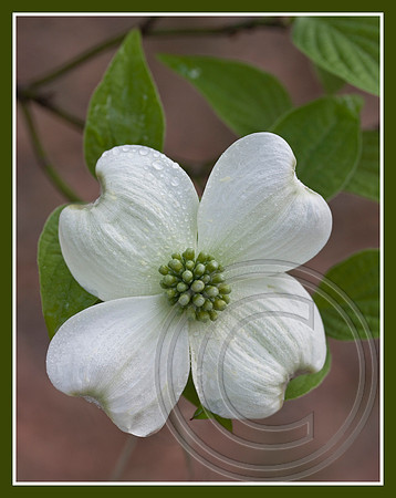 A sign of spring