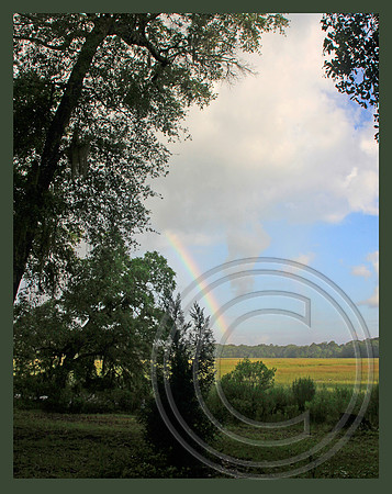 Marsh rainbow