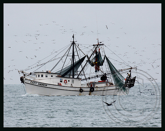 Fishing boat