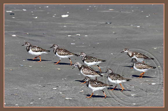 On the march