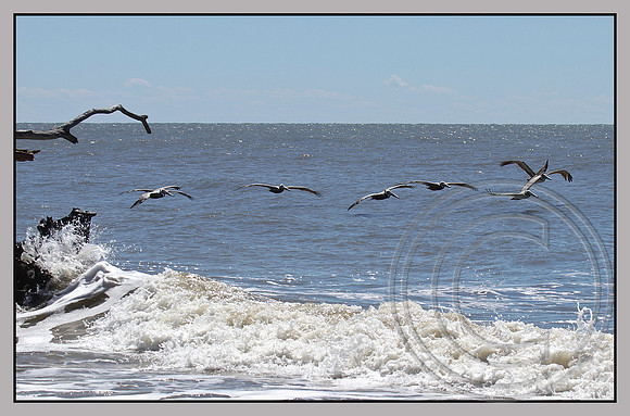 Over the waves