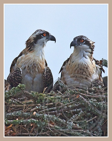 A serious talk?