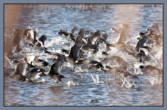Taking off all together