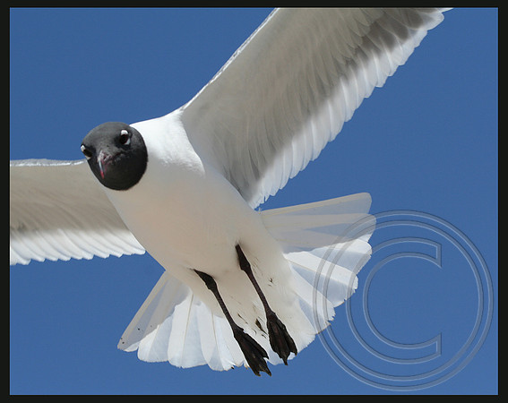 A fly-over