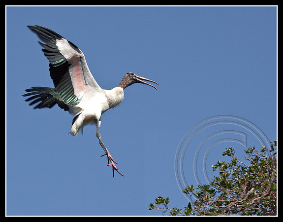 Landing!
