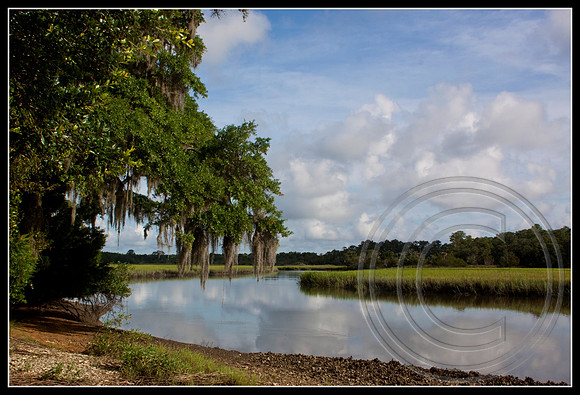 Ocella Creek