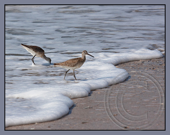At ocean's edge
